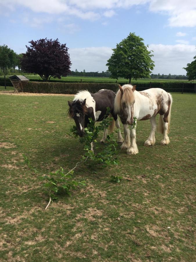 B&B En Wellness De Waalhoeve Angerlo Luaran gambar